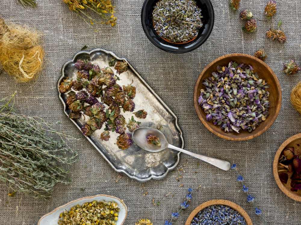 9 Magical Kitchen Witch Herbs You Already Own