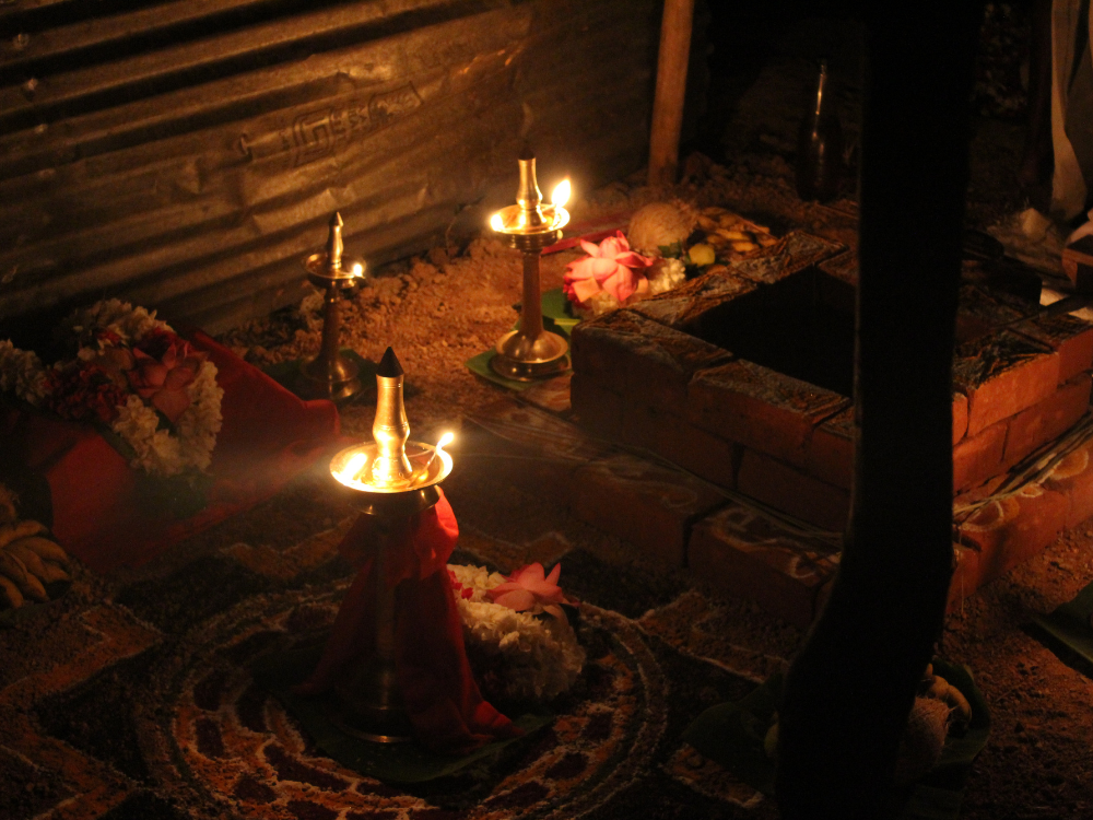 How to Cast a Powerful Love Spell with Rose Petals